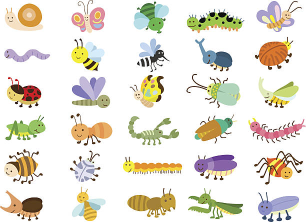 insect - insekt stock-grafiken, -clipart, -cartoons und -symbole