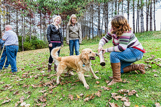Rural Fun on an Autumn Day