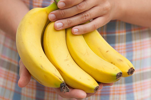 istock Bunch of organic banana in hands 450367379
