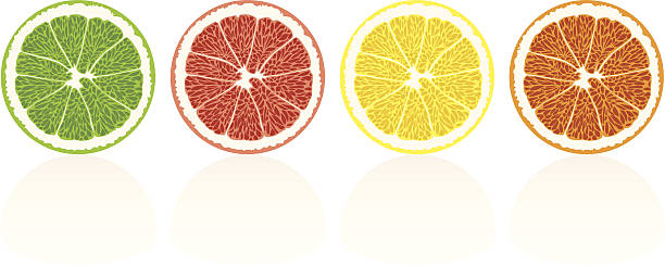 ilustrações, clipart, desenhos animados e ícones de frutas cítricas ilustração - orange portion fruit drink