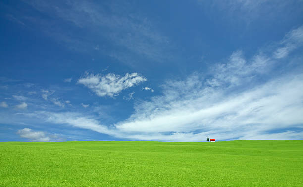 istock Green hill and red roof house 450397035