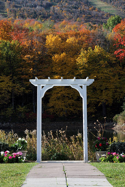istock wedding trellis with foliage and flowers 450410405
