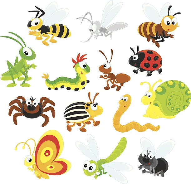 Vector illustration of Colorful cartoon illustration of different insects