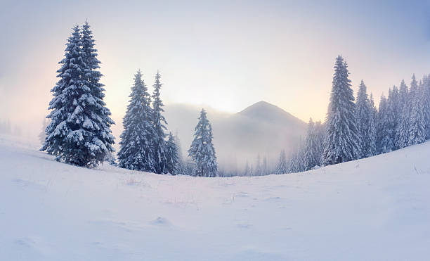 Foggy winter sunrise in the mountains stock photo