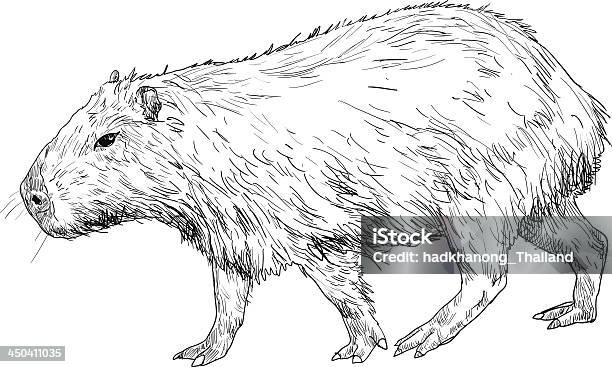 Capybara Stock Illustration - Download Image Now - Capybara, Vector, Animal