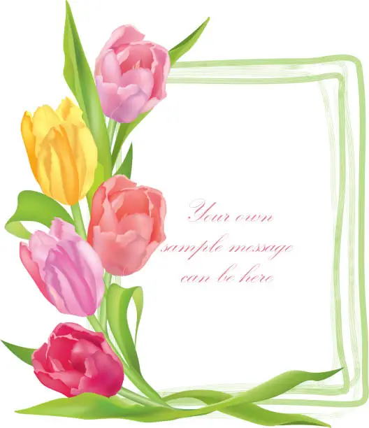Vector illustration of Flower tulips frame.