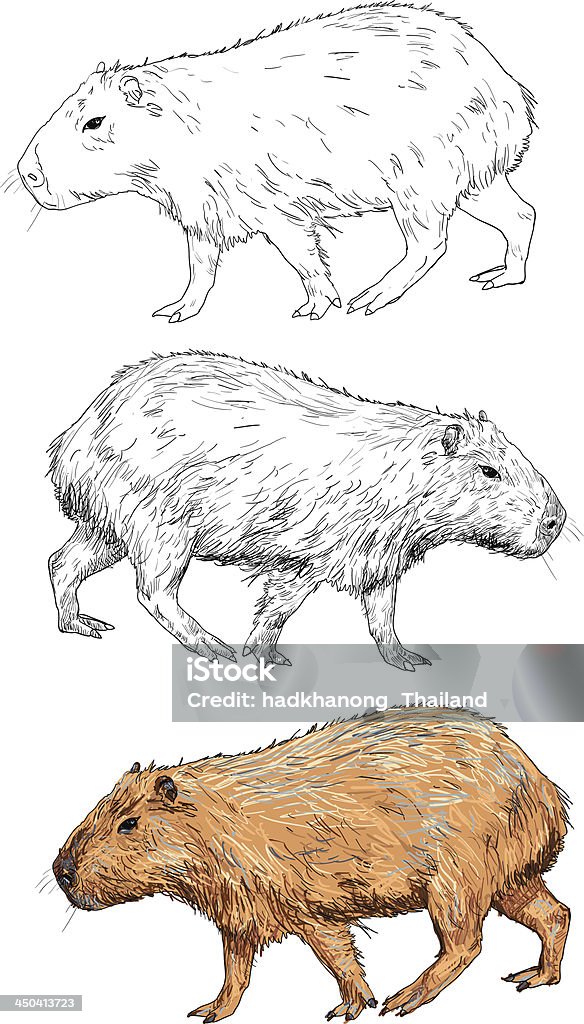 Kapibara - Grafika wektorowa royalty-free (Kapibara)