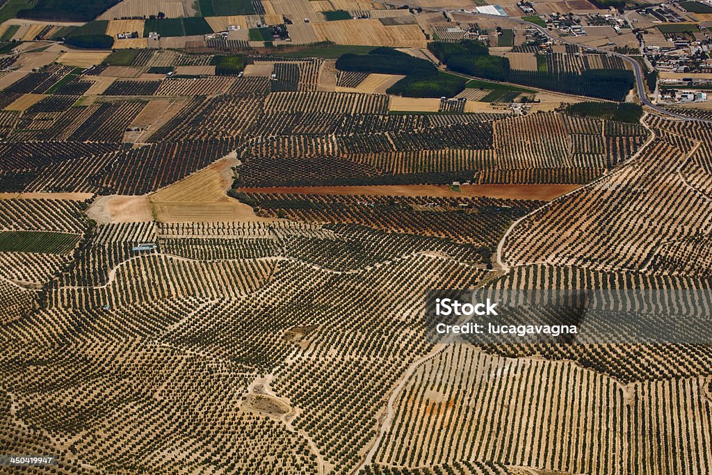 Granada, Spain, aerial view of the countryside Aerial view on the olive groves in Granada Spain Aerial View Stock Photo