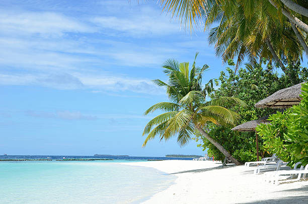 istock Sunbeds on the tropical white sandy beach 450421385