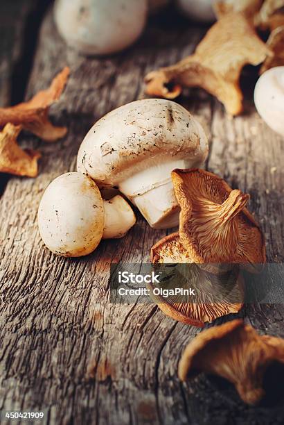 White Mushrooms And Dried Chanterelle Toned Stock Photo - Download Image Now - Agriculture, Autumn, Boletus