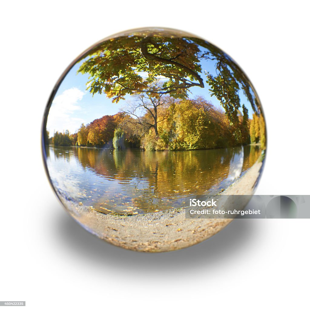 Verre ballon - Photo de Arbre libre de droits