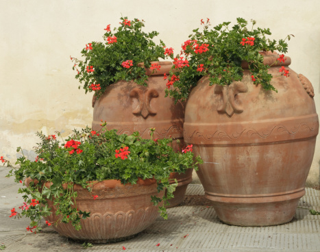 traditional terracotta garden vases with geranium flowers on tuscan piazza, Italy