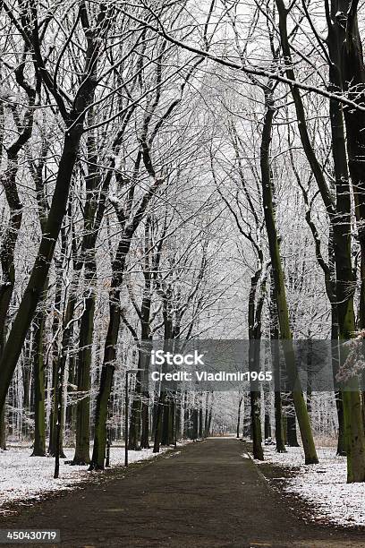 Snowcovered Alley Stock Photo - Download Image Now - Alley, Backgrounds, Beauty In Nature