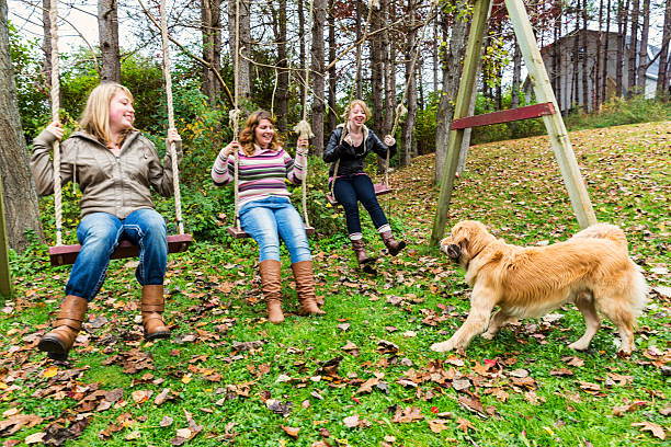 Rural Fun on an Autumn Day