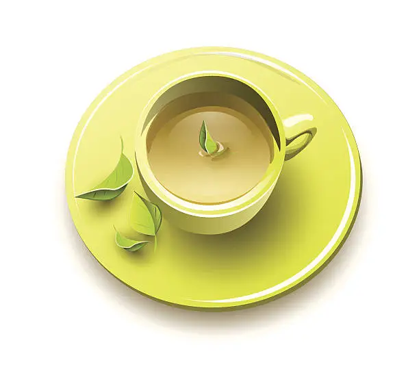 Vector illustration of Organic green tea