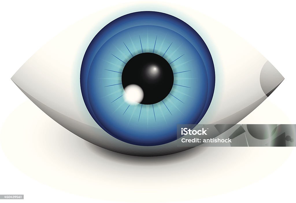 Vector Style Eye Glossy Vector Human Eye Stock Illustration - Download Image Now ...