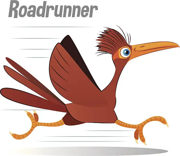 Vector illustration of Roadrunner