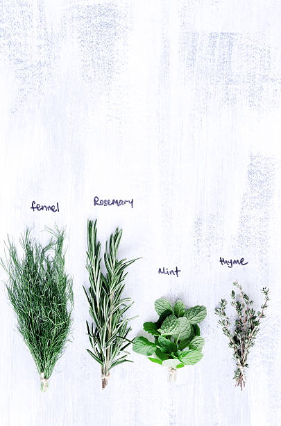 istock Variety of herbs on farmstyle background 450444723