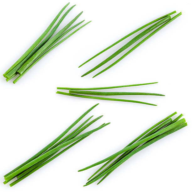 istock Young green onion set isolated on white 450453391