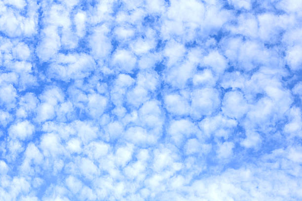 A natural pattern of cotton-like clouds set against a blue sky. This photograph is out of the camera.
