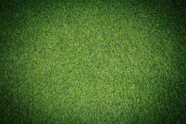 Green Grass Beautiful Fresh Green Grass Background baseball diamond stock pictures, royalty-free photos & images