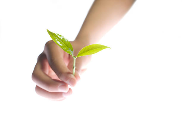 Hand