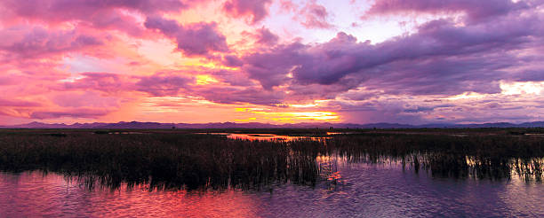 istock View of twilight time sunset and cloudscape in Asia 450471543