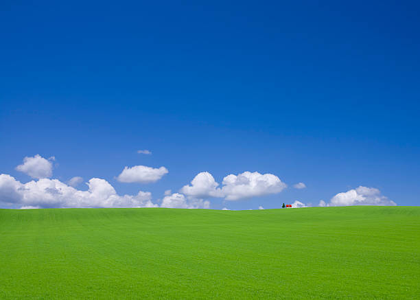 Green hill and red roof house