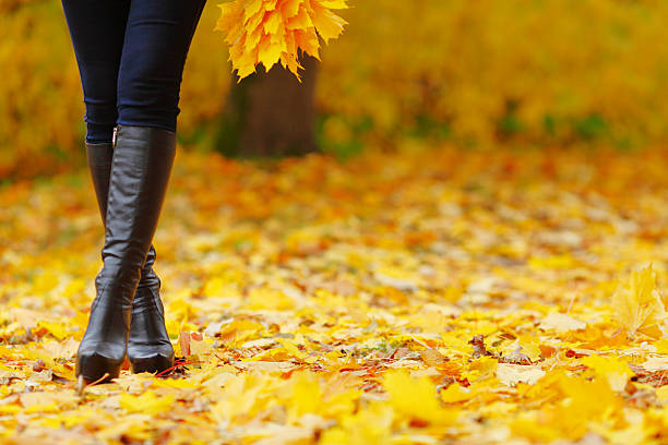 Woman feet  in autumn park stock photo