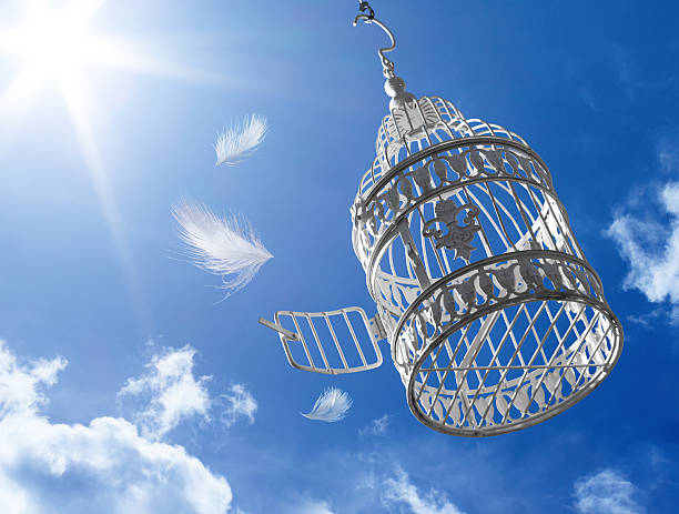 Escaping concept Escaping from the cage - sky and sun background birdcage photos stock pictures, royalty-free photos & images
