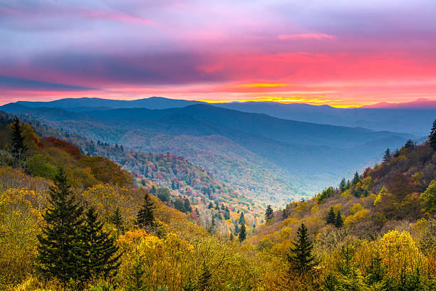 smoky montagne - great smoky mountains gatlinburg great smoky mountains national park appalachian mountains foto e immagini stock