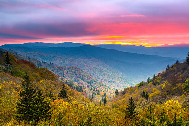 Smoky Mountains Autumn morning in the Smoky Mountains National Park. newfound gap stock pictures, royalty-free photos & images
