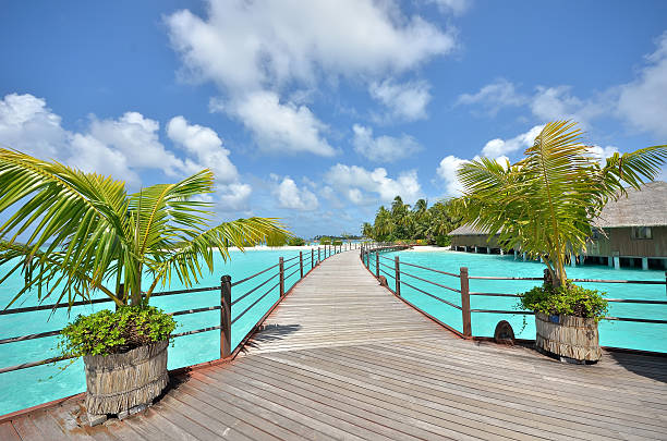 istock Wooden footpath over the tropical island 450478375