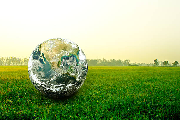 mundo luva no campo - bright new life earth globe imagens e fotografias de stock