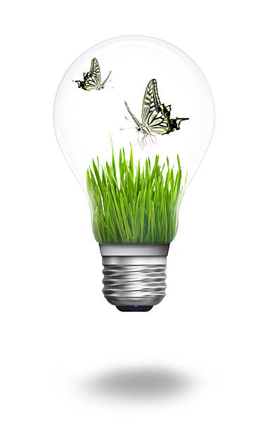 istock Plant and butterfly inside the light bulb 450496461