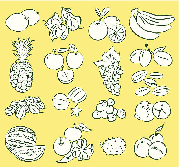 illustrazioni stock, clip art, cartoni animati e icone di tendenza di frutta - peach fruit portion orange