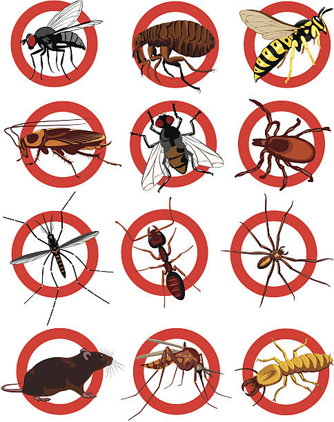 szkodników ikona kolor - pest stock illustrations