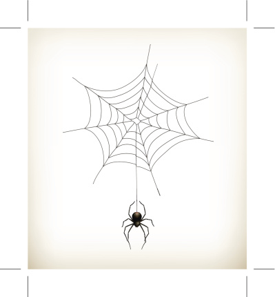 Spider and web. Eps10 vector illustration contains transparency and blending effects.