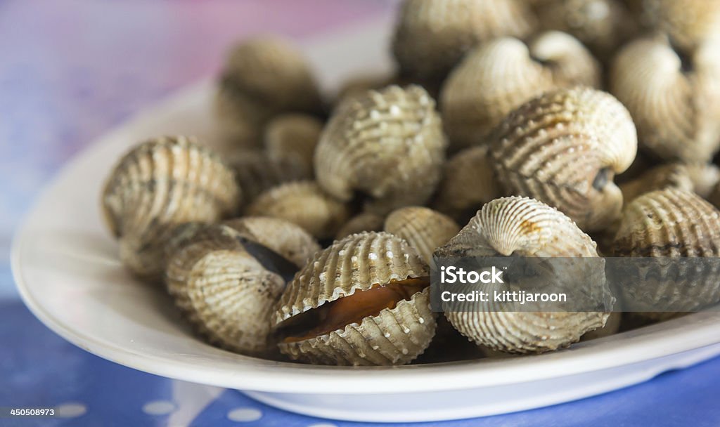 Fresca cockles blanqueado - Foto de stock de Alimento libre de derechos