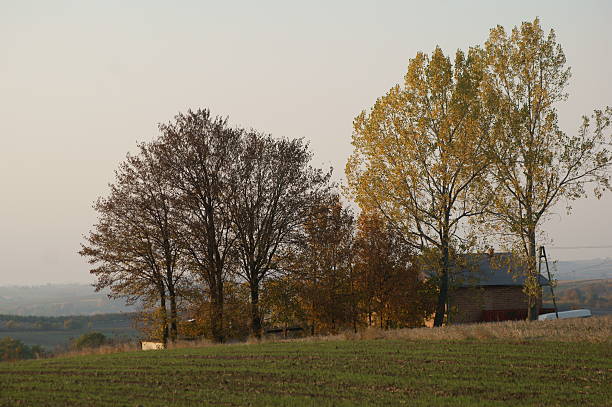 istock Autumn landscape from Ponidzia 450515089