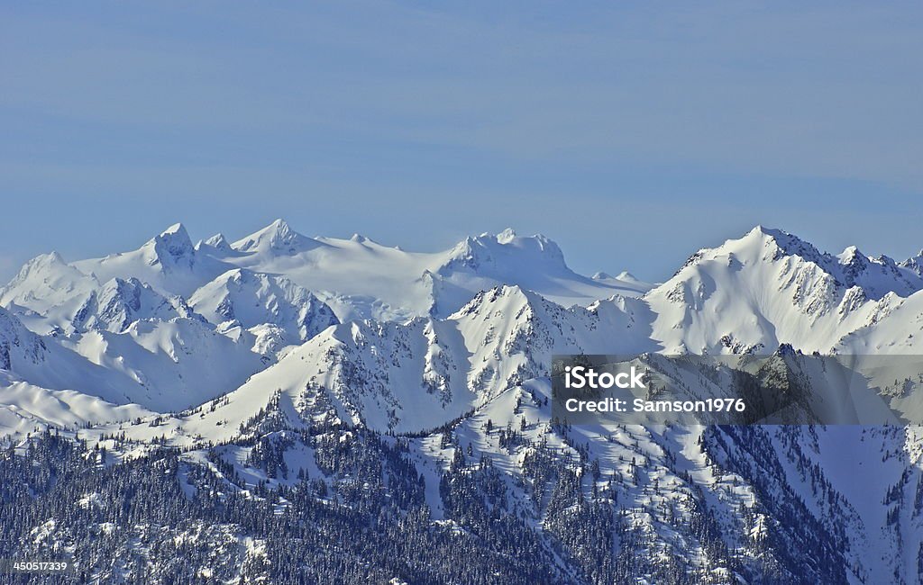 Mt. Olympus Ice Northwest Washington's Olympic Mountains. Olympic National Park Stock Photo