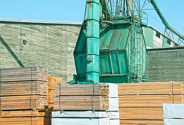 размера lumber на завод в северной калифорнии - timber lumber industry redwood stack стоковые фото и изображения