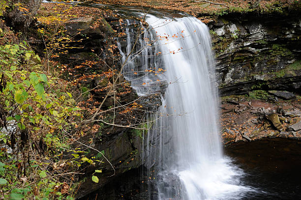 istock Waterfalls in Ricketts Glen State Park 450520231