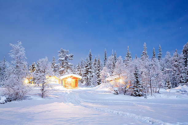 istock Winter Night Lapland Sweden 450524127