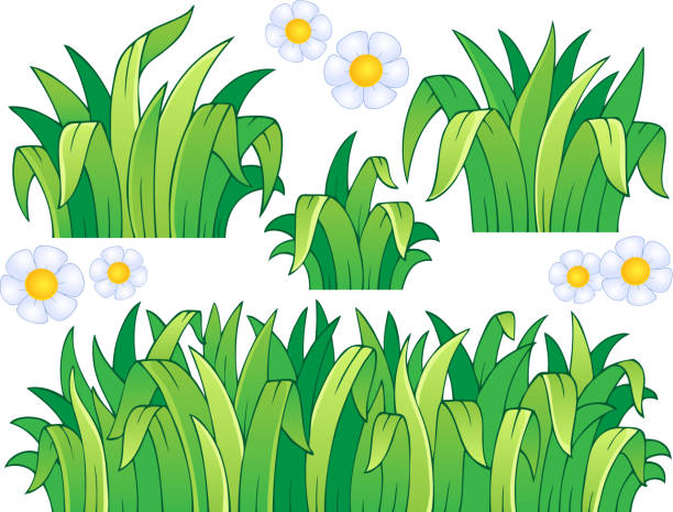 Leaves And Grass Theme Image 1 Stock Illustration - Download Image Now -  Blossom, Bright, Cartoon - iStock