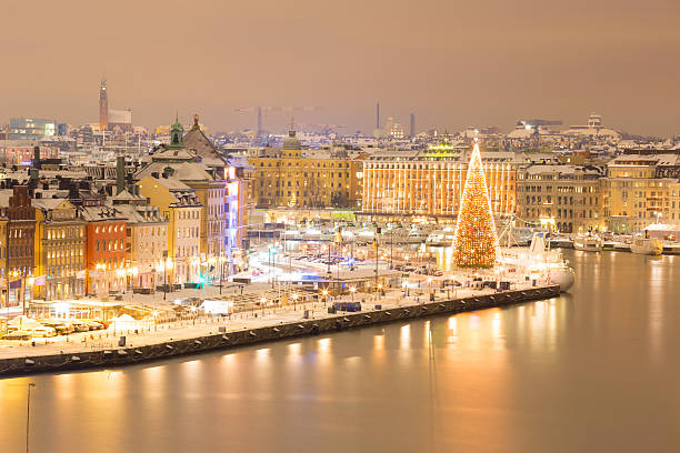 istock Stockholm Cityscape at Night 450530419