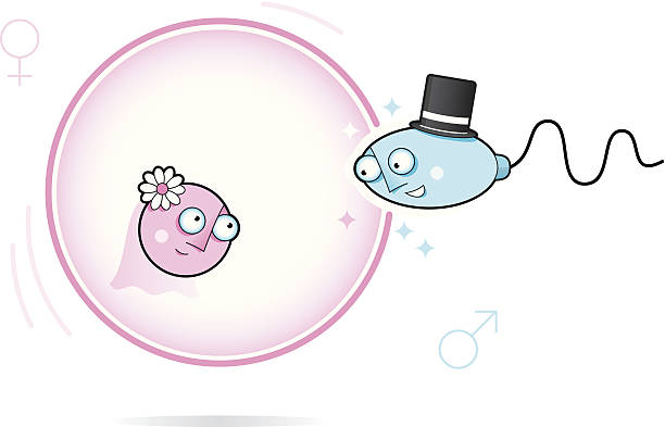Funny Sperm Cell Illustrations, Royalty-Free Vector Graphics & Clip Art - iStock Funny Sperm Cell Illustrations, Royalty-Free Vector Graphics & Clip Art - iStock