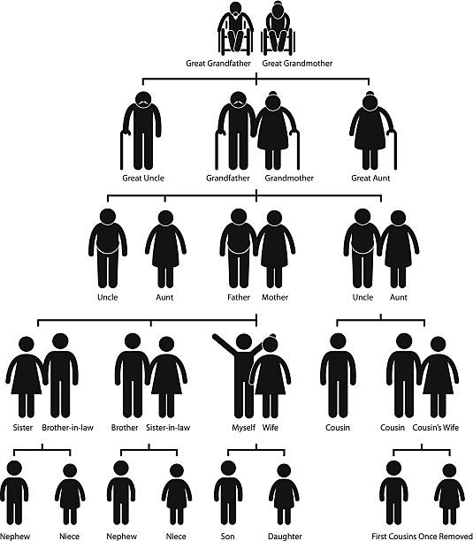 illustrations, cliparts, dessins animés et icônes de arbre généalogique pictogram schéma de généalogie - multi generation family isolated people silhouette