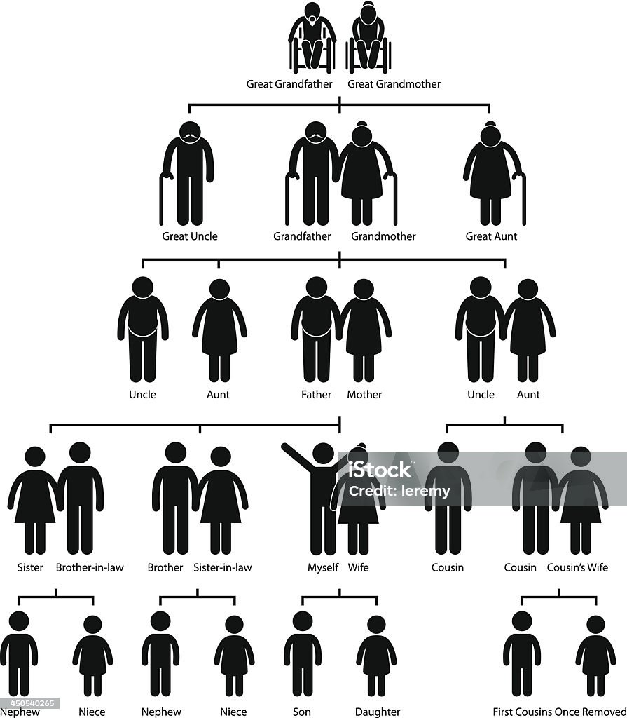 Albero genealogico genealogia diagramma pittogramma - arte vettoriale royalty-free di Albero genealogico