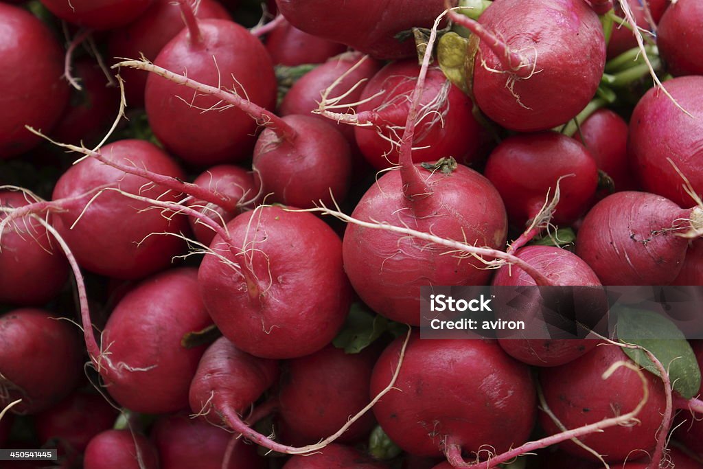 Radish bunch of fresh radishes Crucifers Stock Photo